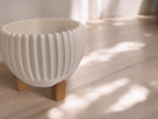 Luma Planter