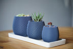 Modern spiral planter