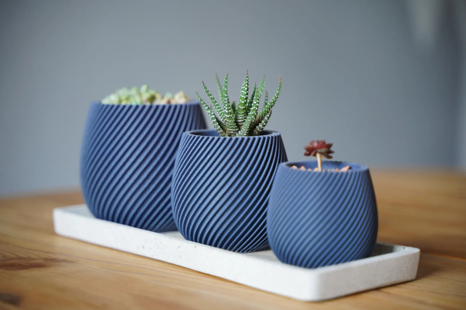 Modern spiral planter