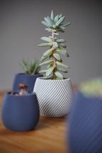 Modern spiral planter