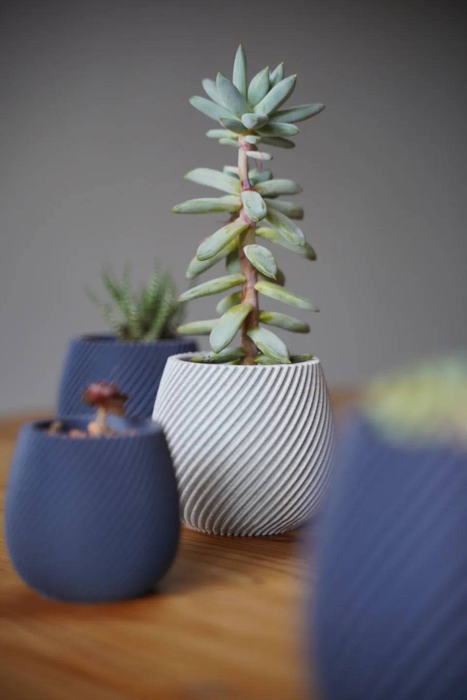 Modern spiral planter